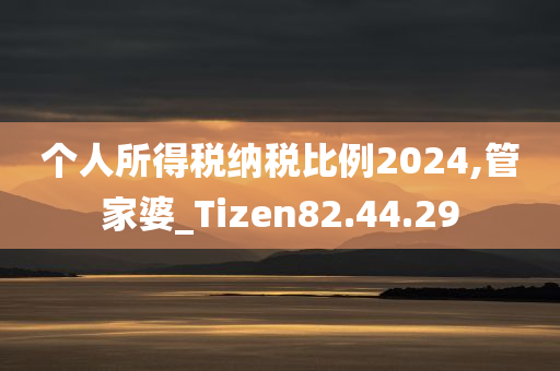 个人所得税纳税比例2024,管家婆_Tizen82.44.29