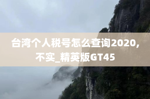 台湾个人税号怎么查询2020,不实_精英版GT45