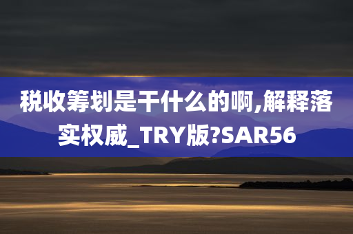 税收筹划是干什么的啊,解释落实权威_TRY版?SAR56