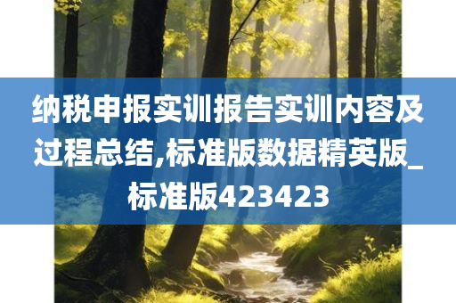 纳税申报实训报告实训内容及过程总结,标准版数据精英版_标准版423423