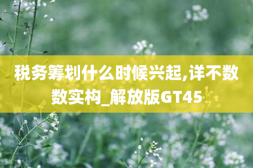 税务筹划什么时候兴起,详不数数实构_解放版GT45