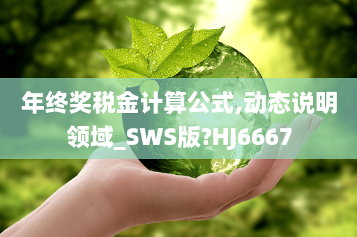 年终奖税金计算公式,动态说明领域_SWS版?HJ6667