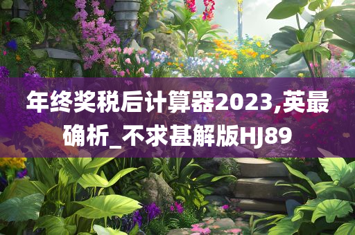 年终奖税后计算器2023,英最确析_不求甚解版HJ89