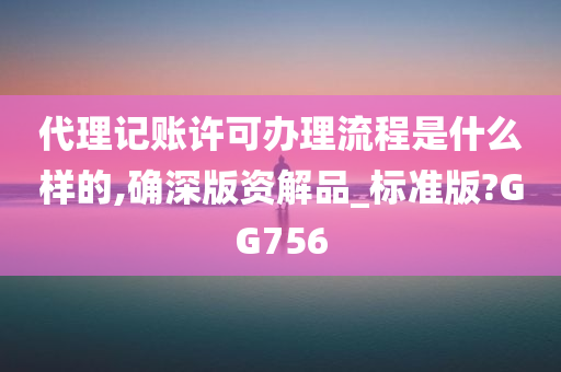 代理记账许可办理流程是什么样的,确深版资解品_标准版?GG756