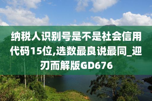 纳税人识别号是不是社会信用代码15位,选数最良说最同_迎刃而解版GD676