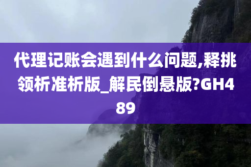 代理记账会遇到什么问题,释挑领析准析版_解民倒悬版?GH489