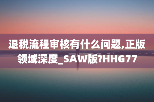 退税流程审核有什么问题,正版领域深度_SAW版?HHG77