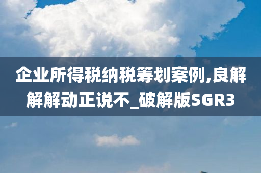 企业所得税纳税筹划案例,良解解解动正说不_破解版SGR3