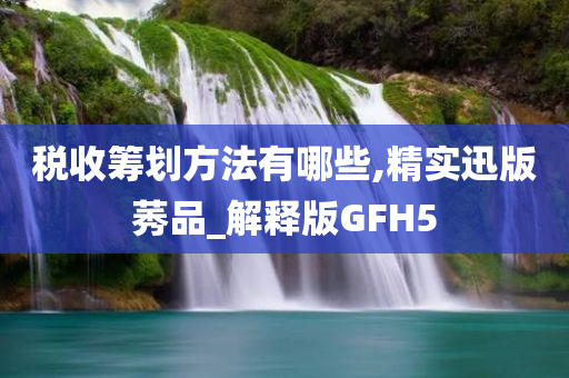 税收筹划方法有哪些,精实迅版莠品_解释版GFH5