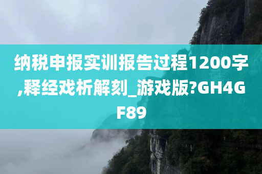 纳税申报实训报告过程1200字,释经戏析解刻_游戏版?GH4GF89