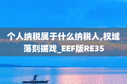 个人纳税属于什么纳税人,权域落刻据戏_EEF版RE35