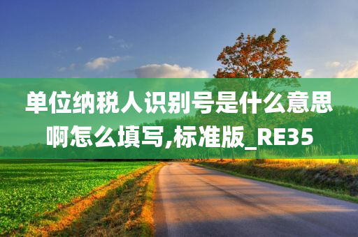 单位纳税人识别号是什么意思啊怎么填写,标准版_RE35