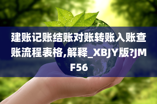 建账记账结账对账转账入账查账流程表格,解释_XBJY版?JMF56