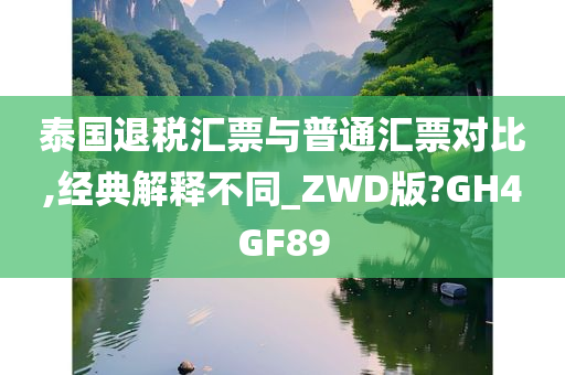 泰国退税汇票与普通汇票对比,经典解释不同_ZWD版?GH4GF89