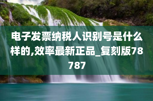 电子发票纳税人识别号是什么样的,效率最新正品_复刻版78787