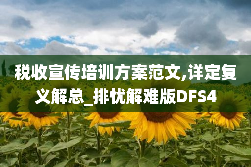 税收宣传培训方案范文,详定复义解总_排忧解难版DFS4