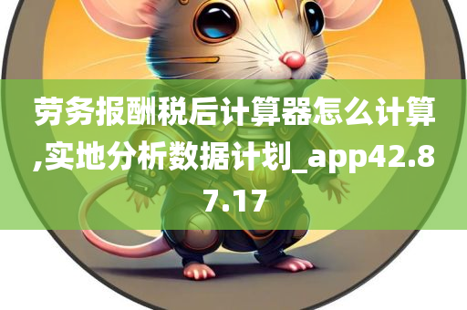 劳务报酬税后计算器怎么计算,实地分析数据计划_app42.87.17