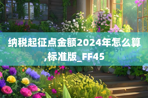 纳税起征点金额2024年怎么算,标准版_FF45