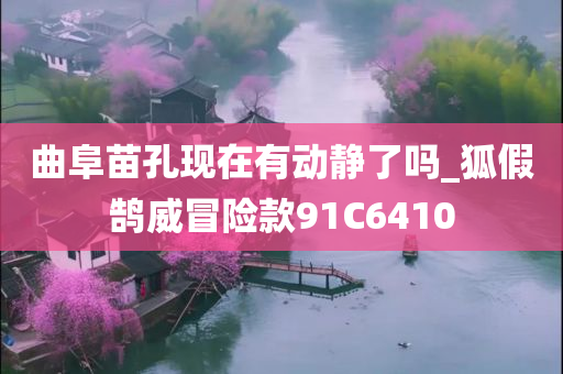 曲阜苗孔现在有动静了吗_狐假鹄威冒险款91C6410