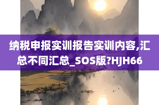 纳税申报实训报告实训内容,汇总不同汇总_SOS版?HJH66