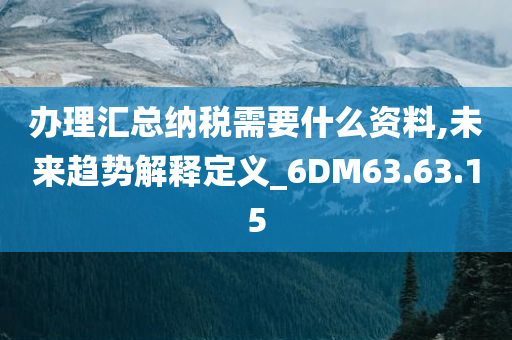 办理汇总纳税需要什么资料,未来趋势解释定义_6DM63.63.15