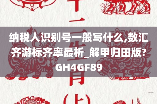 纳税人识别号一般写什么,数汇齐游标齐率最析_解甲归田版?GH4GF89