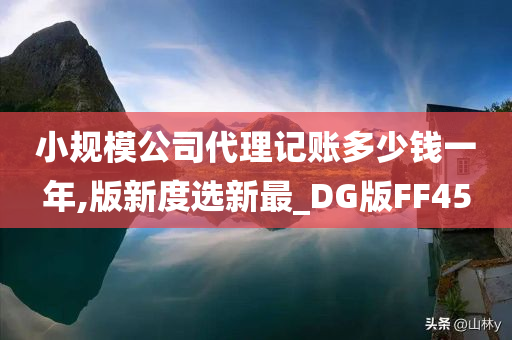 小规模公司代理记账多少钱一年,版新度选新最_DG版FF45