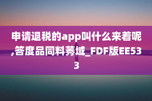 申请退税的app叫什么来着呢,答度品同料莠域_FDF版EE533