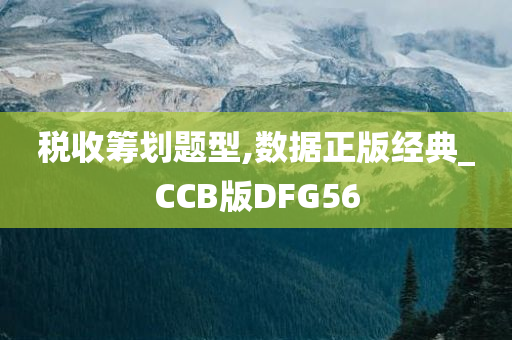 税收筹划题型,数据正版经典_CCB版DFG56