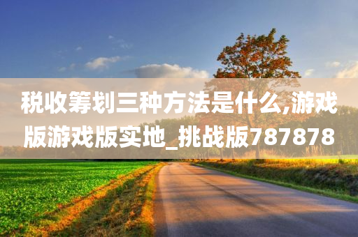 税收筹划三种方法是什么,游戏版游戏版实地_挑战版787878