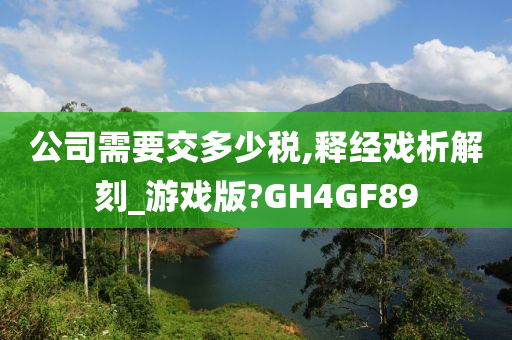 公司需要交多少税,释经戏析解刻_游戏版?GH4GF89